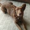 Doug M