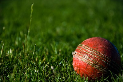 Learn to Play Cricket