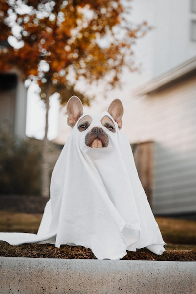 Halloween Tournament 2023